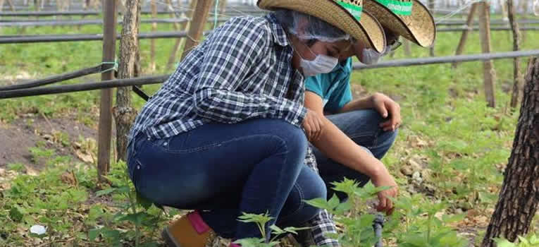 visita-centro-berry-universidad-guanajuato-ug-ugto