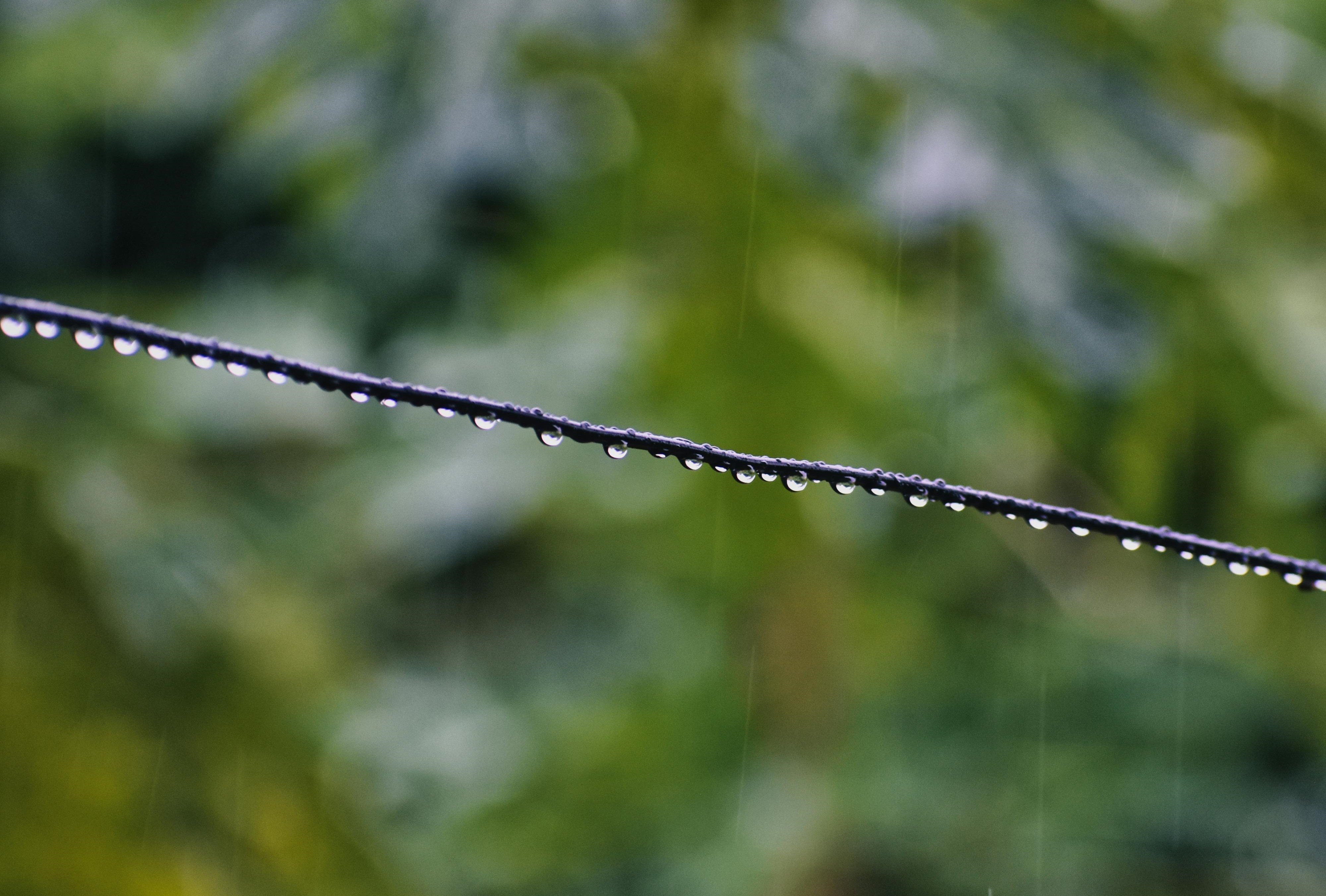 clima