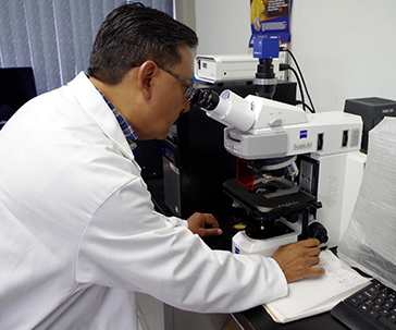 bacteria-reducir-contaminacion-cancerigenos-ug-ugto-