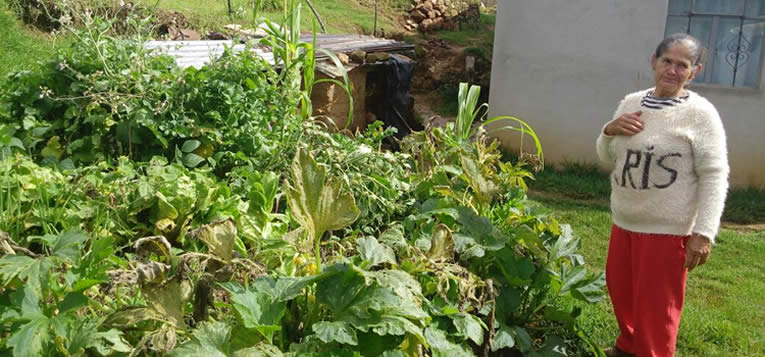 impulsa-sescobre-viveros-verdes