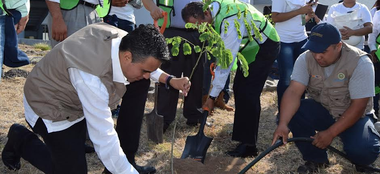 reforestacion-dicis-cemer-universidad-guanajuato-ug-ugto