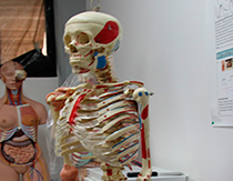 investigador-ugto-ug-