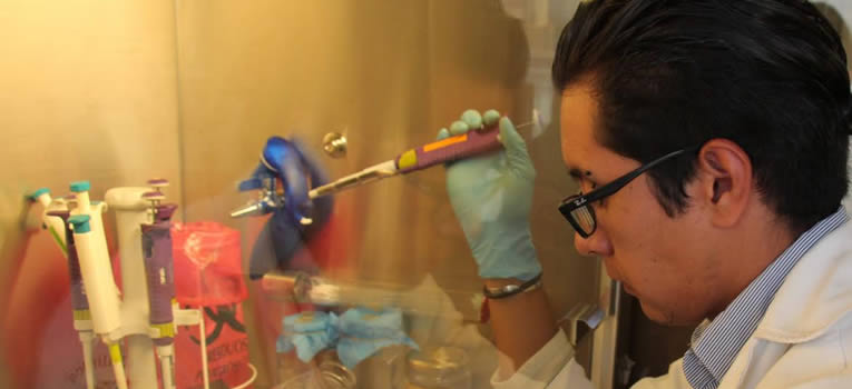 investigador-ug-ugto