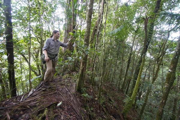 islas-salomon-universidad-guanajuato-ug
