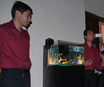 exposicion-una-artista-llamada-luz-universidad-guanajuato-ug-