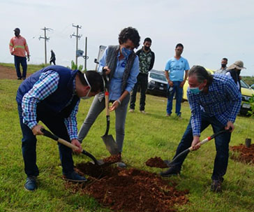 reforestaion-ugto-ug-