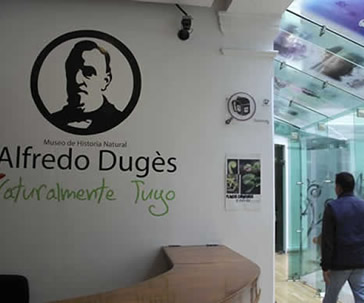 cursos-sobre-conservacion-ug-ugto-