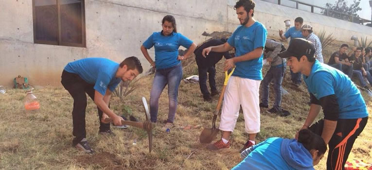 reforestacion-dcea-universidad-guanajuato-ug-ugto