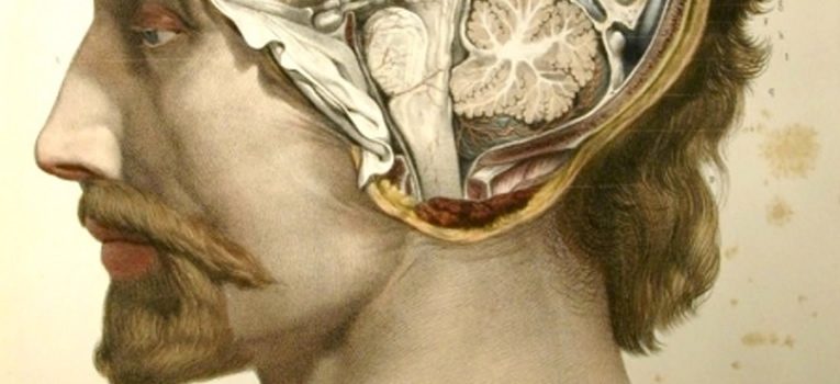 coloquio-internacional-pensamiento-complejo-universidad-guanajuato-ug