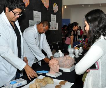 semana-internacional-cerebro-leon-universidad-guanajuato-ug-ugto-