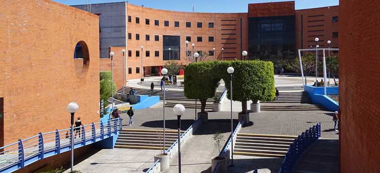 division-ciencias-economico-administrativa-universidad-guanajuato-ug-ugto