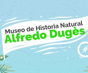 duges-ugto-ug-