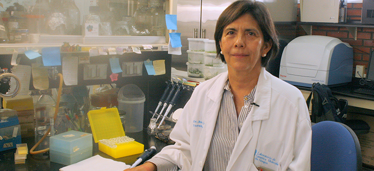 crean-cientificos-biopesticidas-base-hongos-ug-ugto