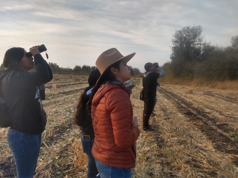 ninas en la ciencia 01