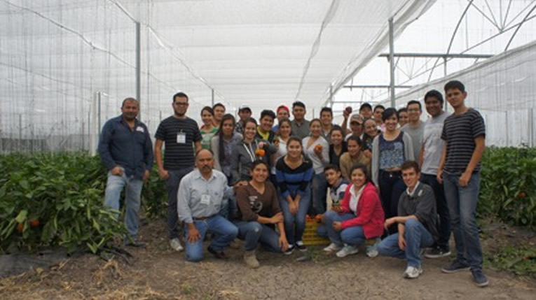 investigadores-ug-promueven-certificacion-senasica-entre-productores-agricolas-ug-ugto