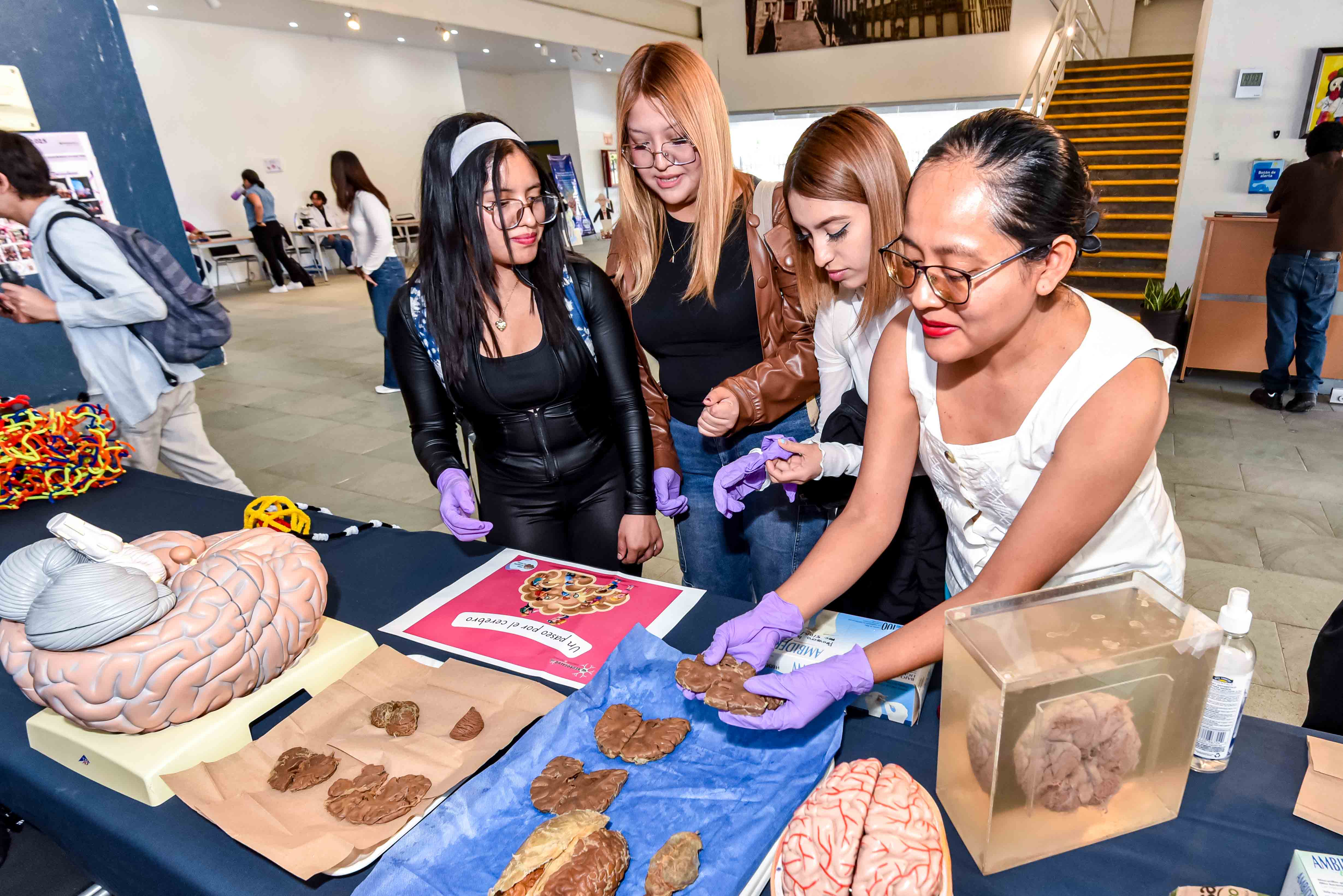 semana del cerebro 1