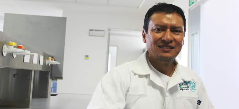 exploran-intestinos-de-insectos-ug-ugto