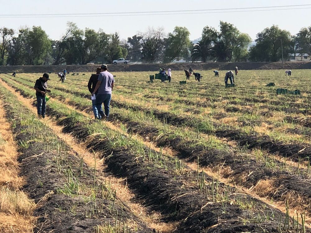 CEREMONIA DE FIN DE CURSOS DE LA MAESTRA EN CIENCIAS FORENSES 02