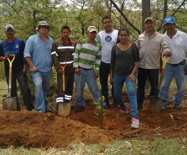 curso-restauracion-areas-forestales-urbanas-universidad-guanajuato-ug-ugto-