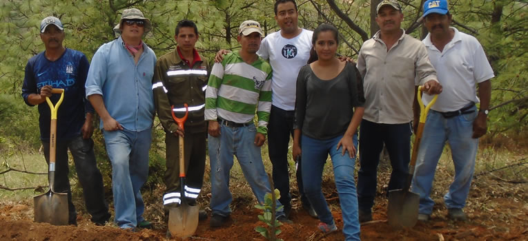 curso-restauracion-areas-forestales-urbanas-universidad-guanajuato-ug-ugto