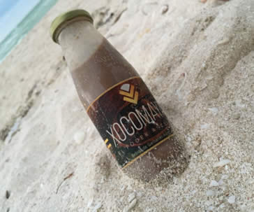 estudiantes-de-la-ug-crean-bebida-con-alto-valor-nutricional-a-base-de-cacao-ugto-1