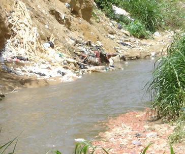 ug-referente-internacional-en-remocion-de-contaminantes-del-agua-ugto-