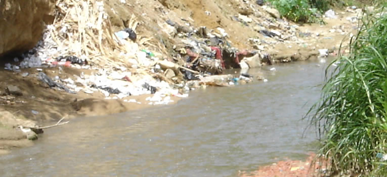 ug-referente-internacional-en-remocion-de-contaminantes-del-agua-ugto