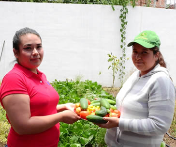 tecnificacion-del-riego-