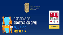 Infografa_Brigadas_de_Proteccin_civil_s_2021