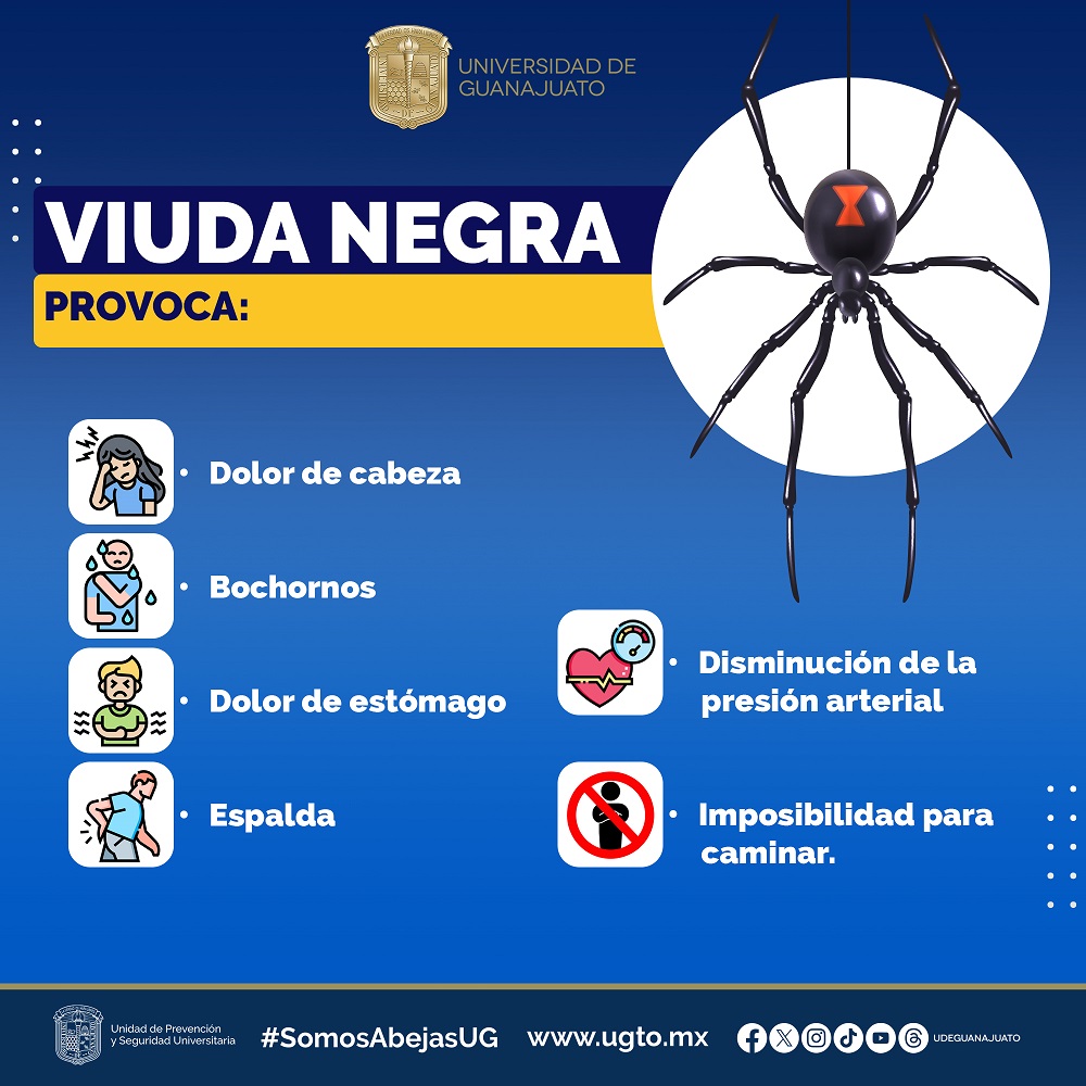 viuda negra 3961